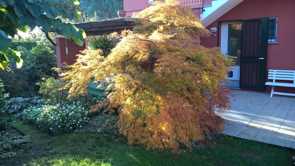 La Collina Since 2008 No Smoking B&B Varese Eksteriør bilde