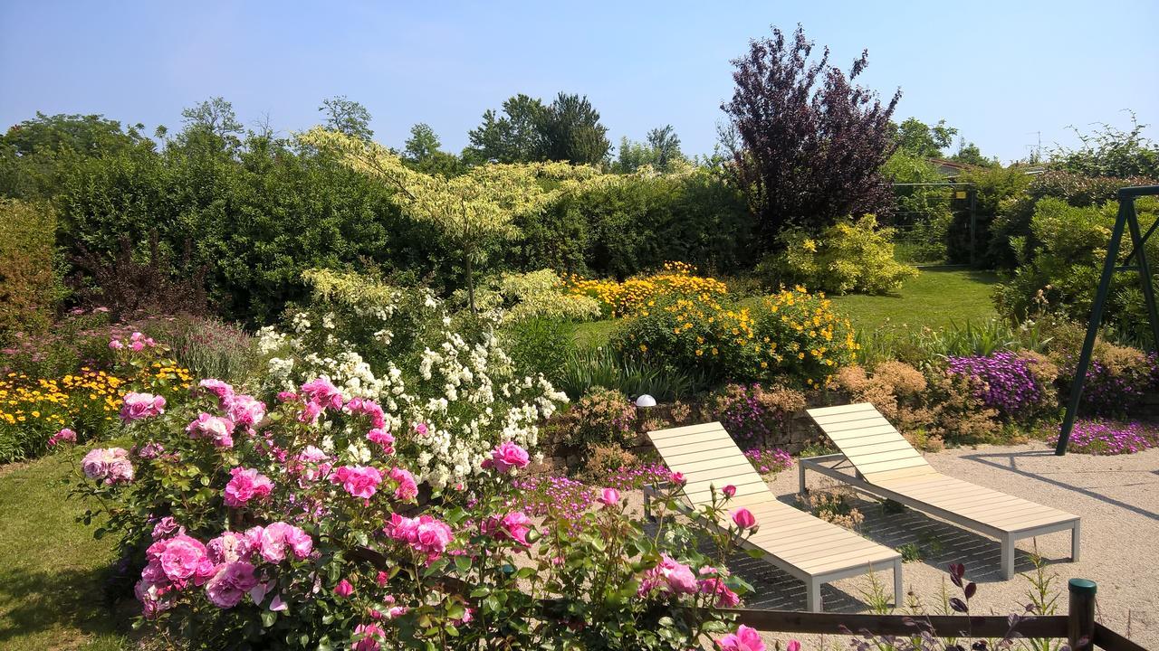 La Collina Since 2008 No Smoking B&B Varese Eksteriør bilde